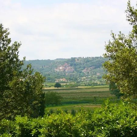 La Contea Villa Lucignano